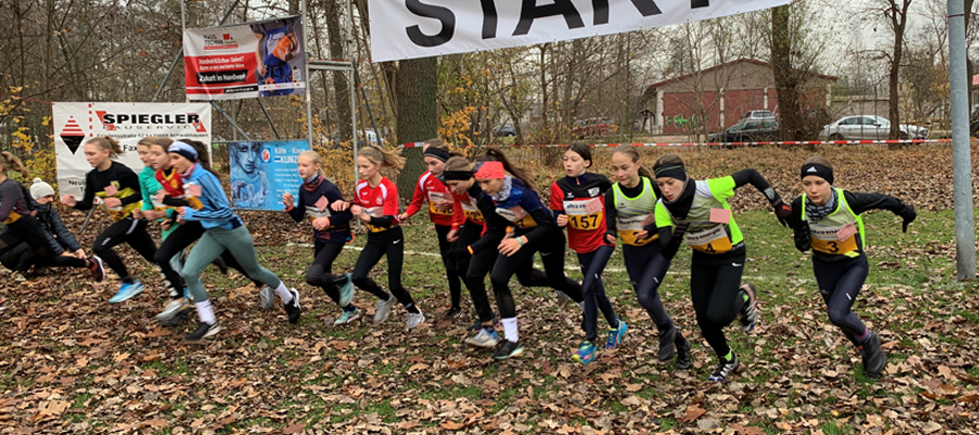 Bonze Bei Der Crosslauf Landesmeisterschaft In G Nthersleben Wssv